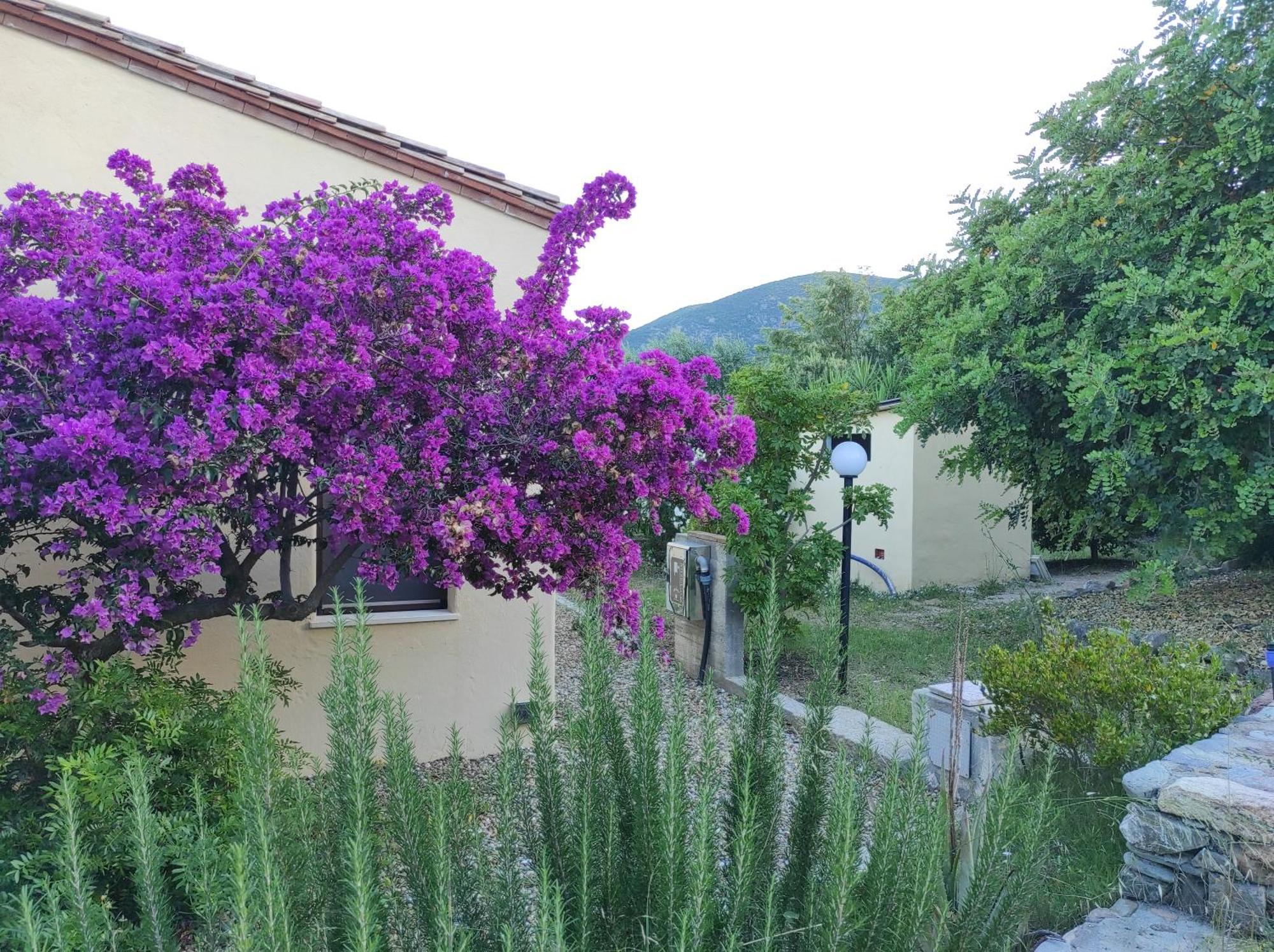 Sa Teria Village - Camere Deluxe - Tertenìa Exterior foto