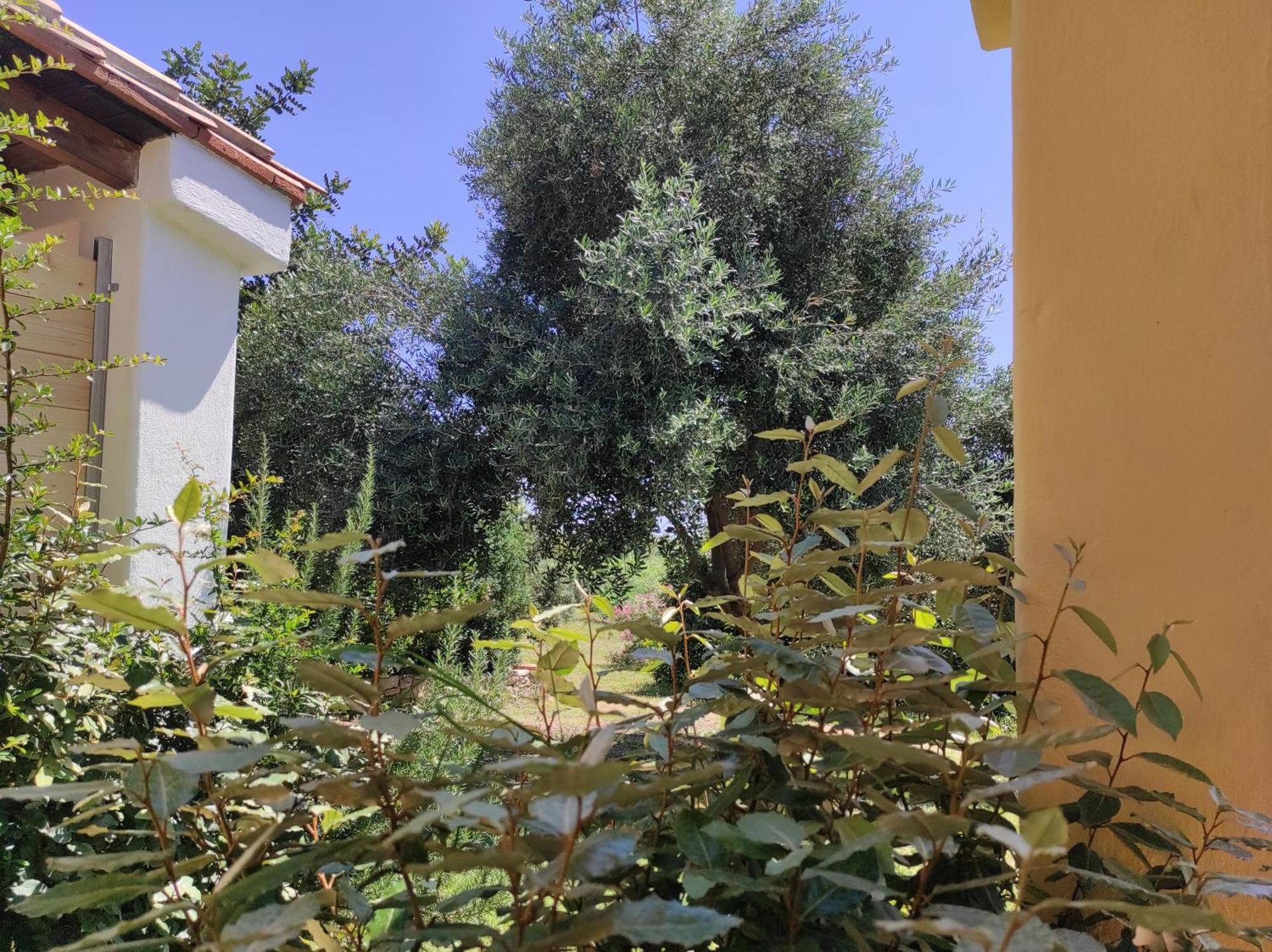 Sa Teria Village - Camere Deluxe - Tertenìa Exterior foto