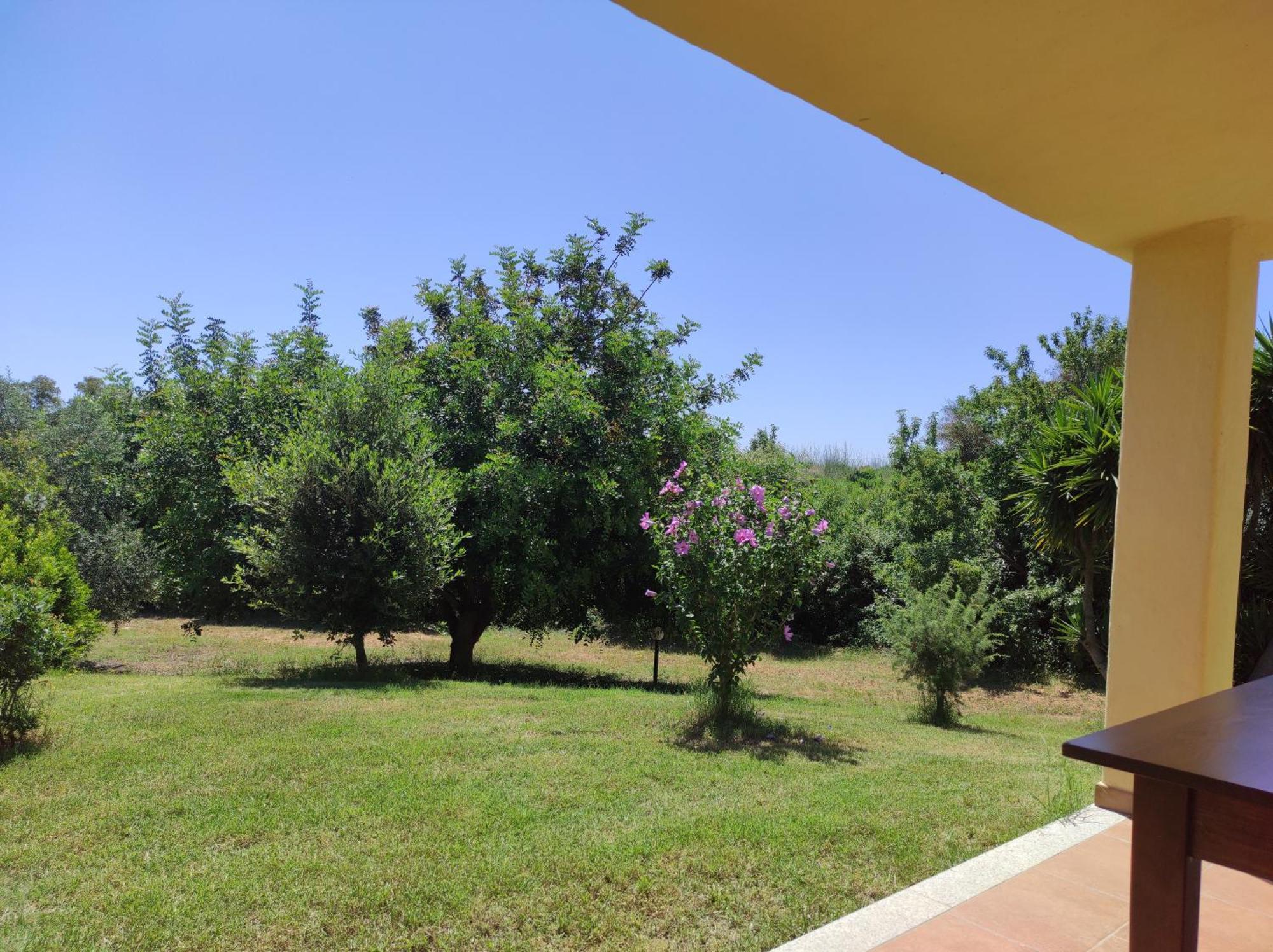 Sa Teria Village - Camere Deluxe - Tertenìa Exterior foto