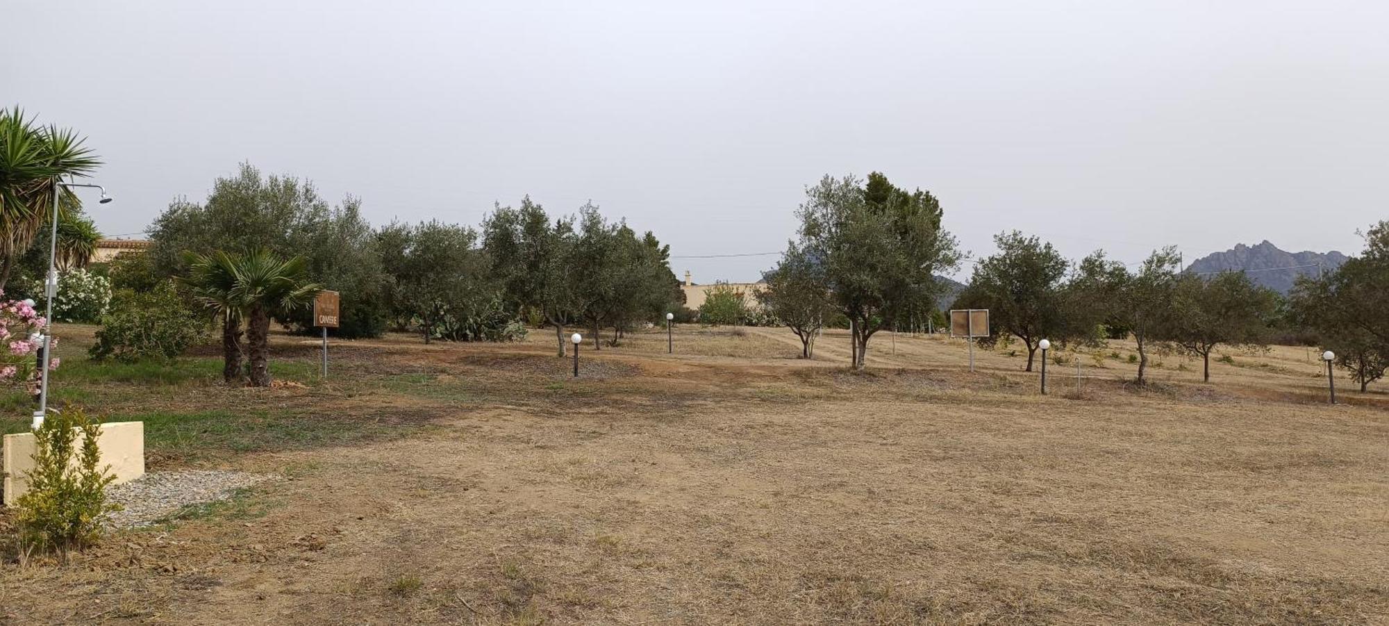 Sa Teria Village - Camere Deluxe - Tertenìa Exterior foto