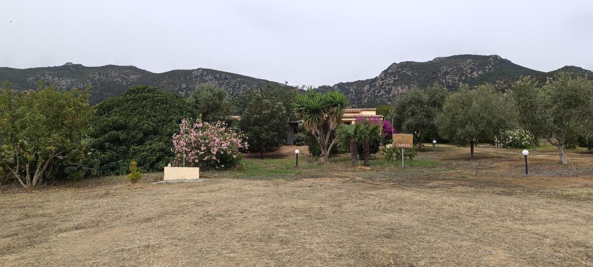 Sa Teria Village - Camere Deluxe - Tertenìa Exterior foto